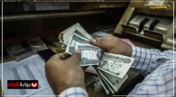 بشرى للمواطنين.. قروض السلع المعمرة لعام 2025 تفاصيل كاملة من 3 بنوك رئيسية وشروط التقديم 1